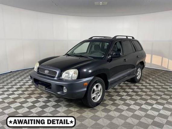 HYUNDAI SANTA FE 2004 KM8SC73E04U586161 image